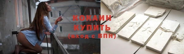 мдпв Кодинск
