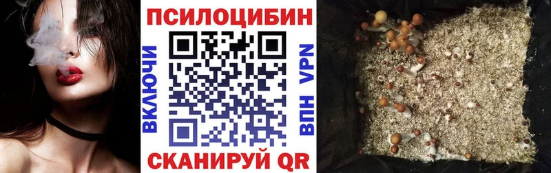 кракен как войти  Вилюйск  Галлюциногенные грибы Psilocybine cubensis 